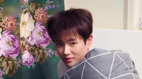 范老师吃瓜娱乐翻车,一场意外的网络风波